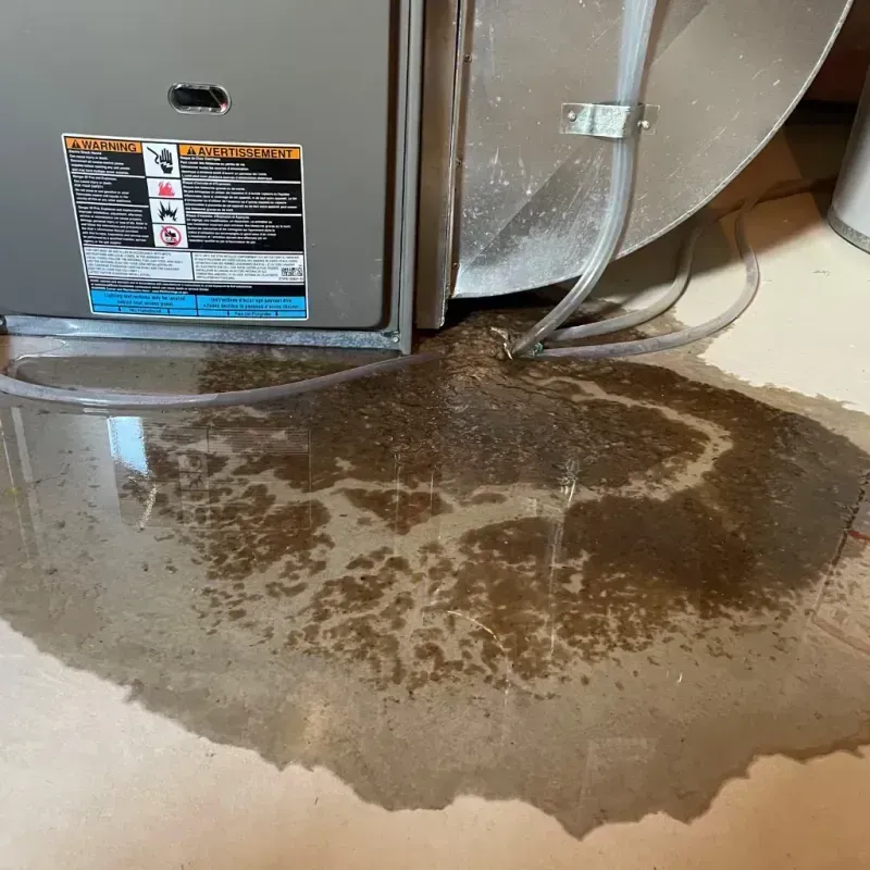 Appliance Leak Cleanup in El Dorado County, CA